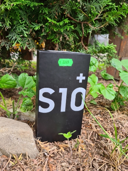 Imagine Samsung Galaxy S10+